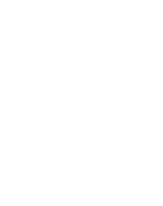artist