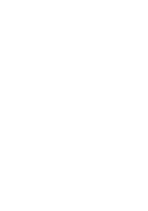 yogi