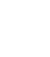 muscles